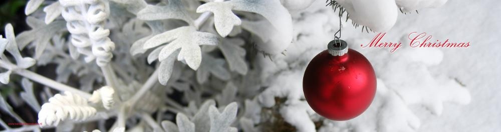 Kerstkaart rode kerstbal sneeuw Achterkant/Voorkant